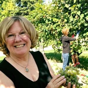 Meet your Posher, Lynn